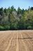 Polepka_3_2011_02_soliter.JPG