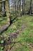 Polepka_3_2011_26_po_proudu.JPG