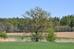 Polepka_3_2011_57_dub.JPG